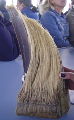Baleen 2