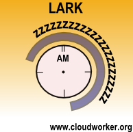 lark