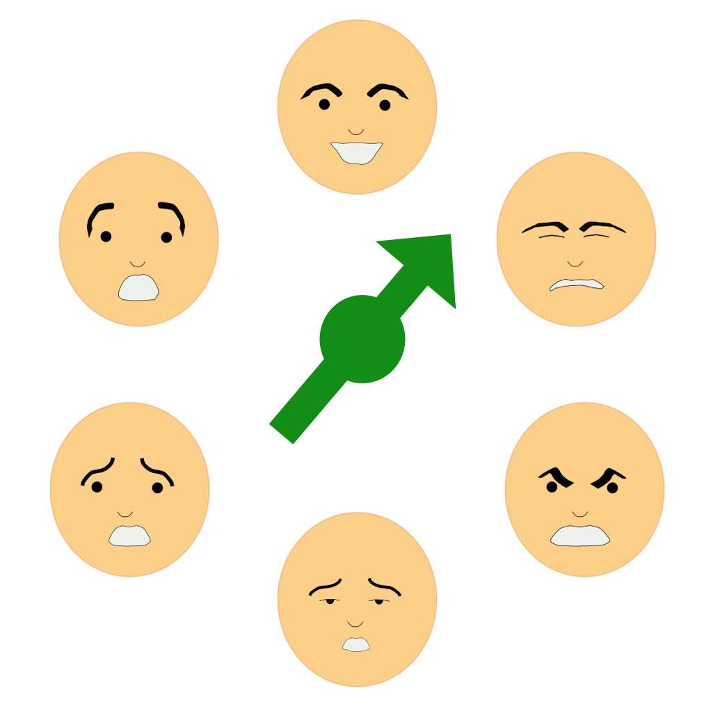 joy, sadness, fear, anger, disgust, surprise